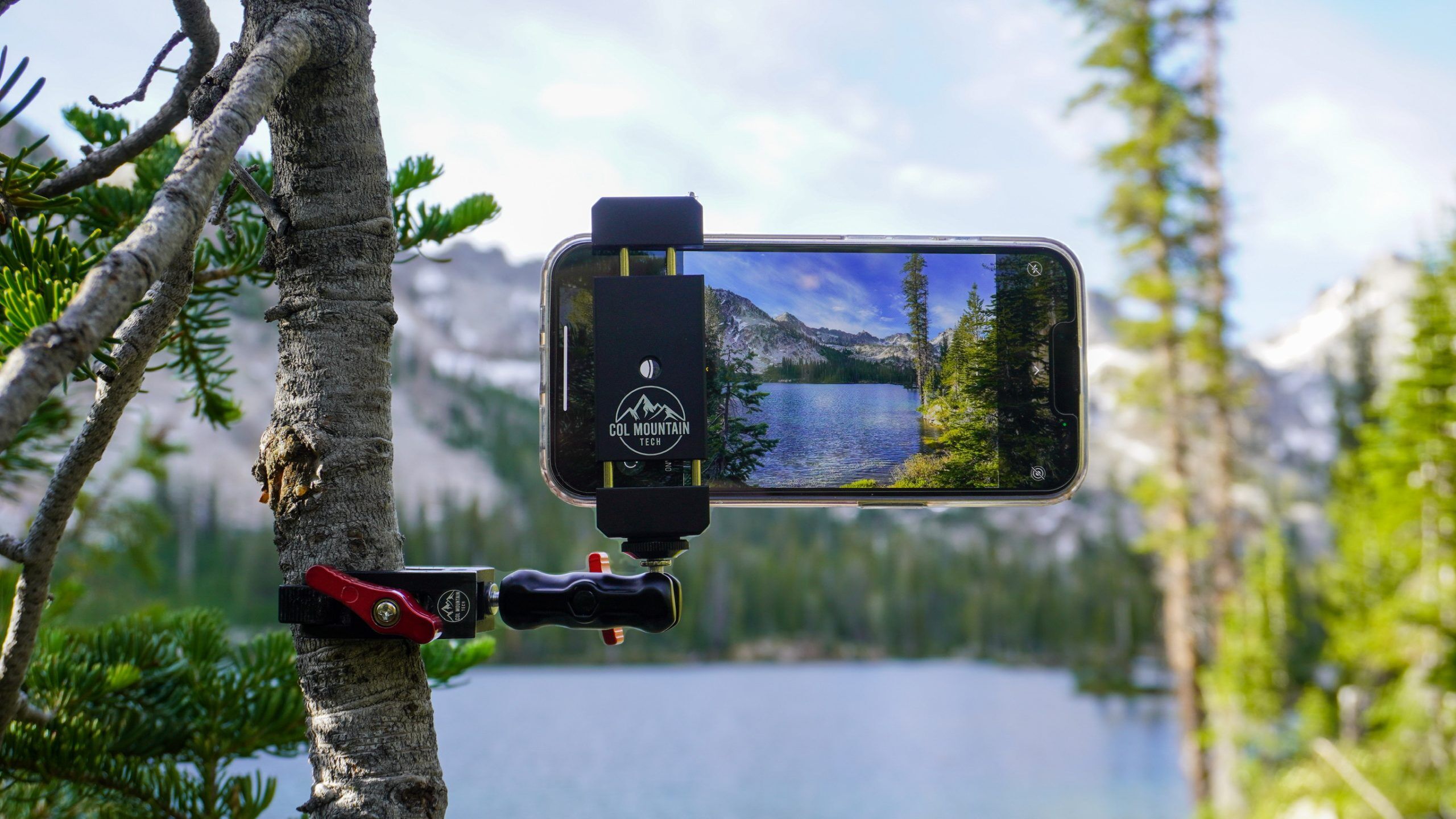 Photo Bomb - Image 3