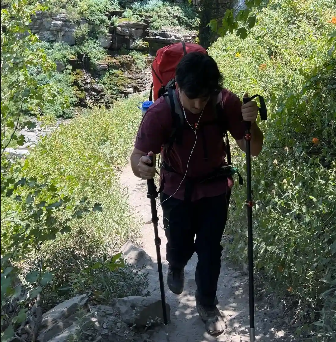 Companion Pole - Image 5